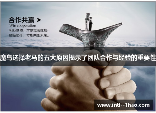 魔鸟选择老马的五大原因揭示了团队合作与经验的重要性